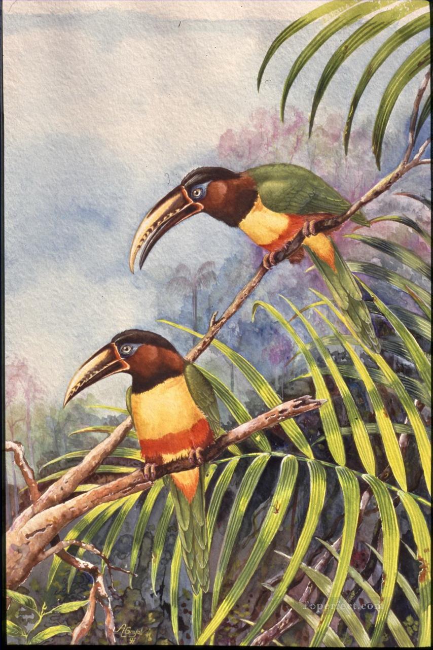 perroquet avec des oiseaux à long bec Peintures à l'huile